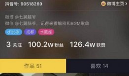 舅爷原神爆料视频,揭秘游戏新内容与神秘角色