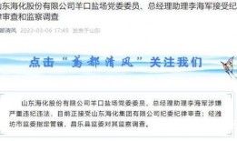 山东最新爆料消息新闻,揭秘重大事件背后真相